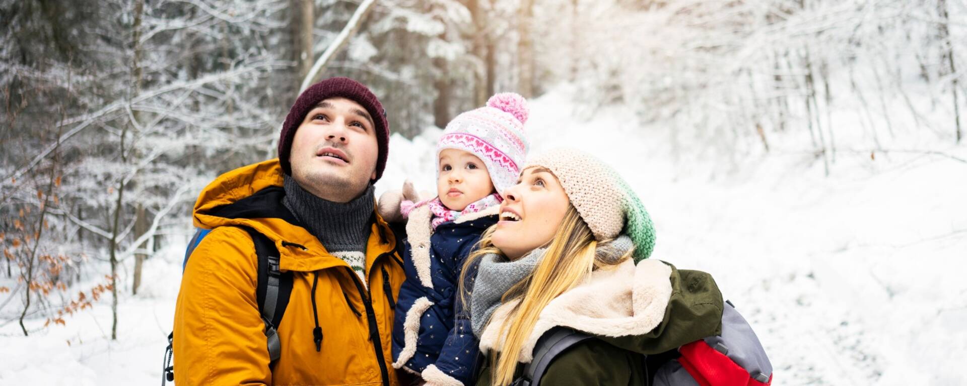 Vivez un Noël magique dans le Pilat
