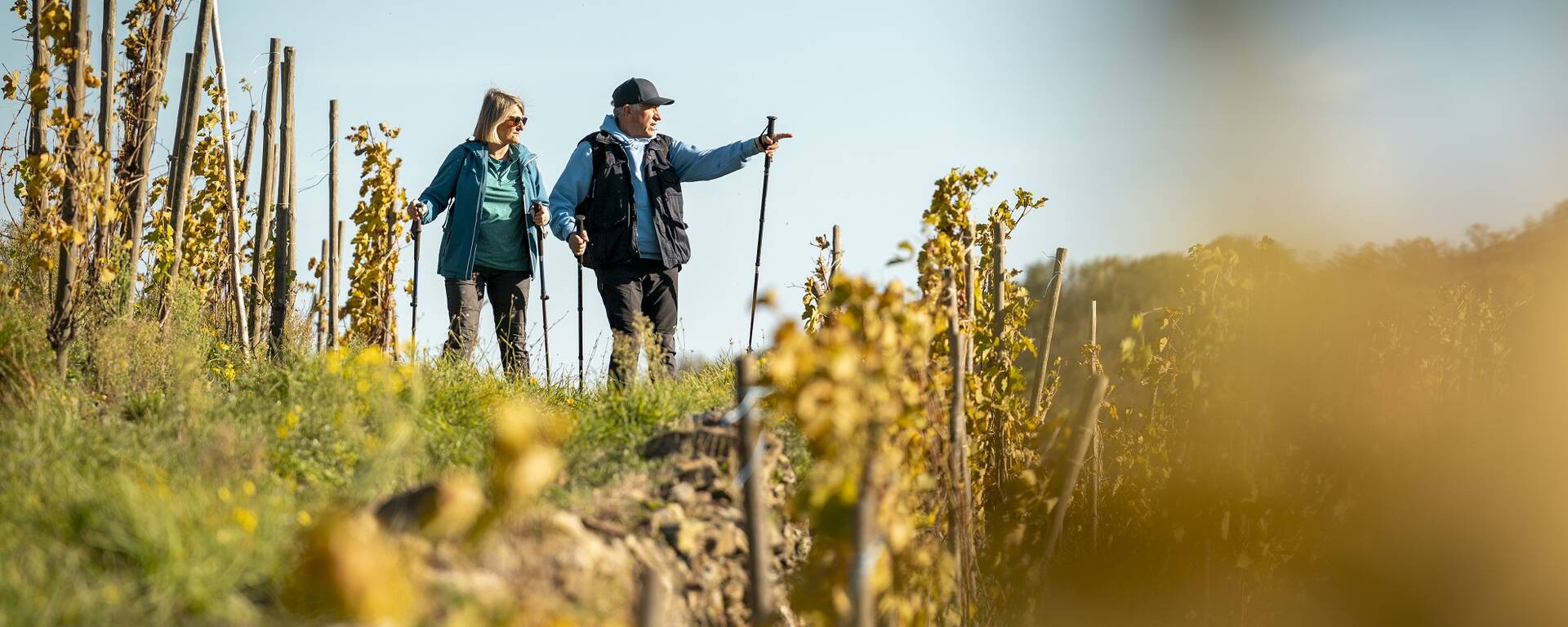 Balade dans les vignobles Saint Joseph et Condrieu Malleval