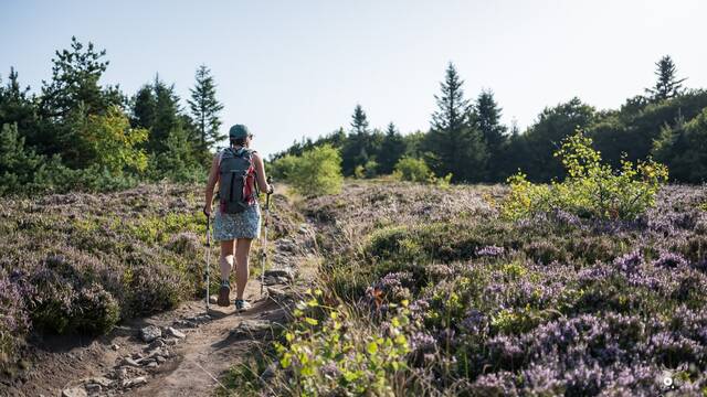Parenthèse sans voiture dans le Massif du Pilat