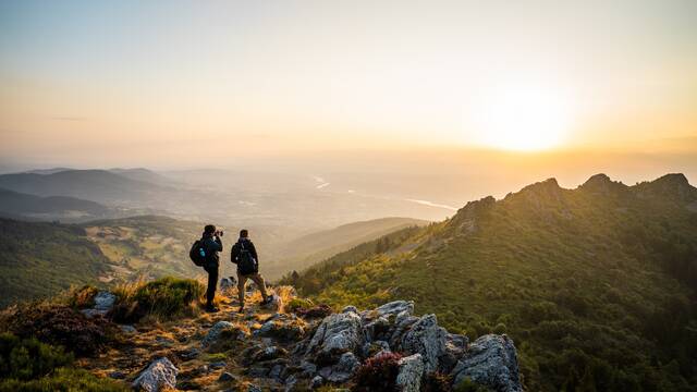 Communiqués de presse
