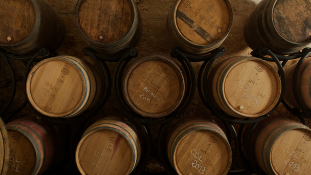 AOC Condrieu, Côte-Rôtie et Saint-Joseph