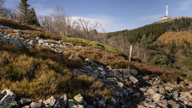 Enjoy the Pilat without a car 