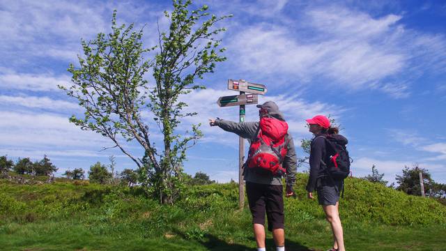 Promenades et randonnées