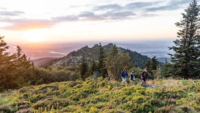 Take a break without a car 