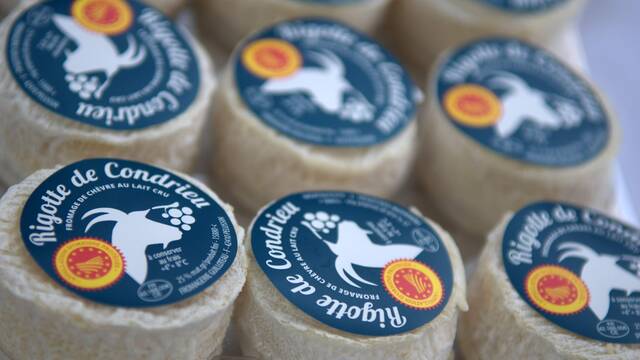 Vin et rigotte en fête