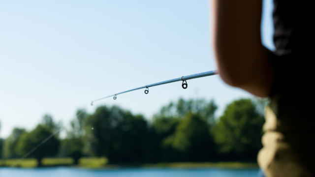 Peche dans le parc du Pilat