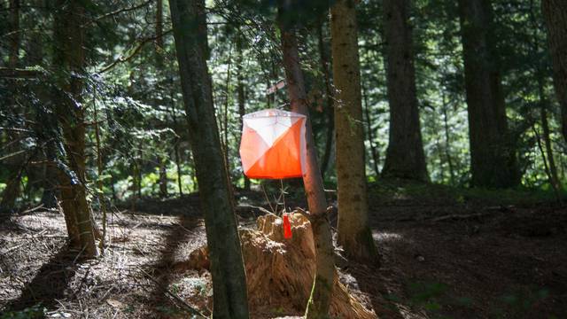Course orientation parc du pilat