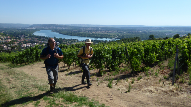 Séjours gourmands dans le Parc du Pilat