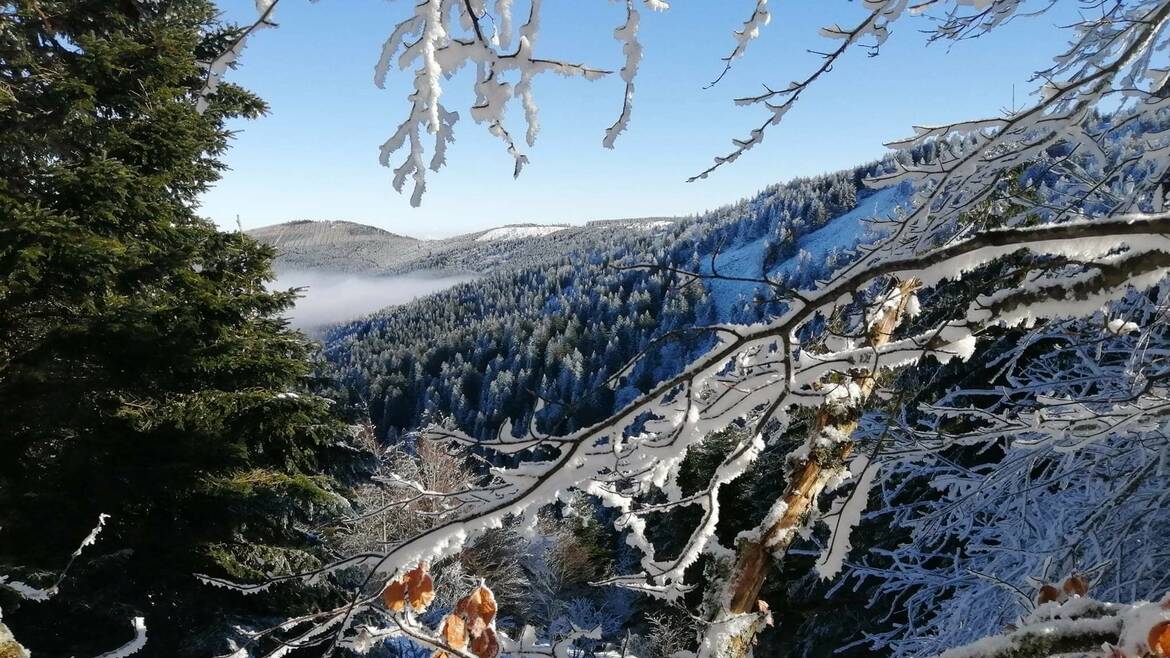 Mon week-end du 11 au 13 février