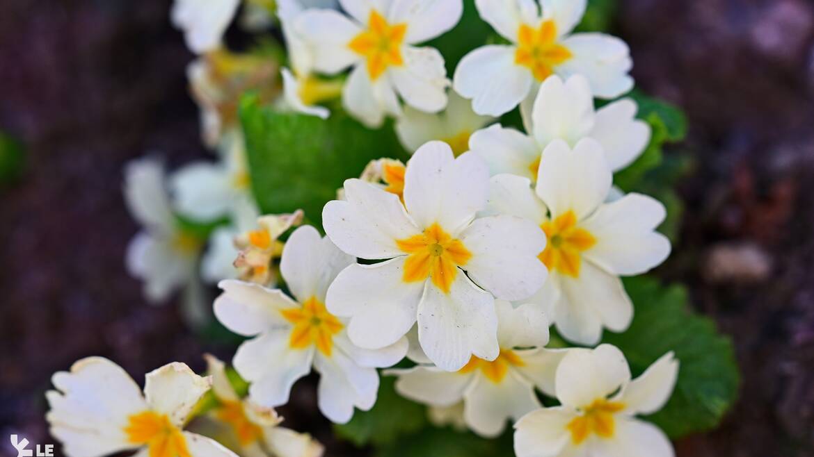 Mon week-end du 10 au 12 avril