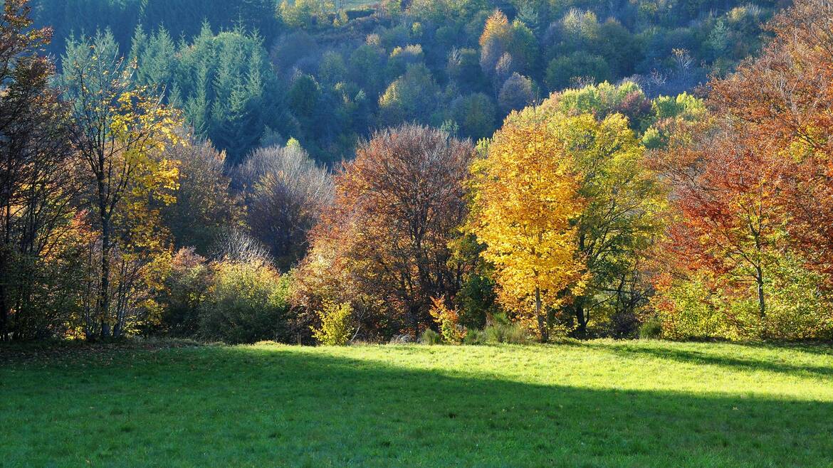 Mon week-end du 11 au 13 novembre