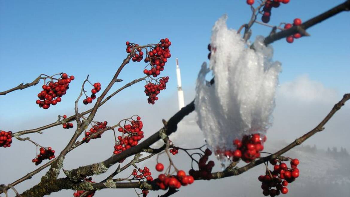 Mon week-end du 19 au 21 décembre