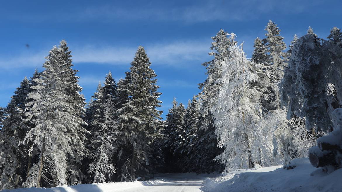 Mon week-end du 18 au 20 janvier