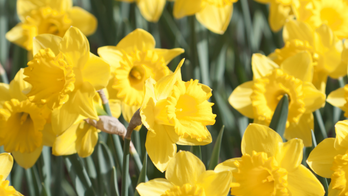 Mon week-end du 17 au 19 avril