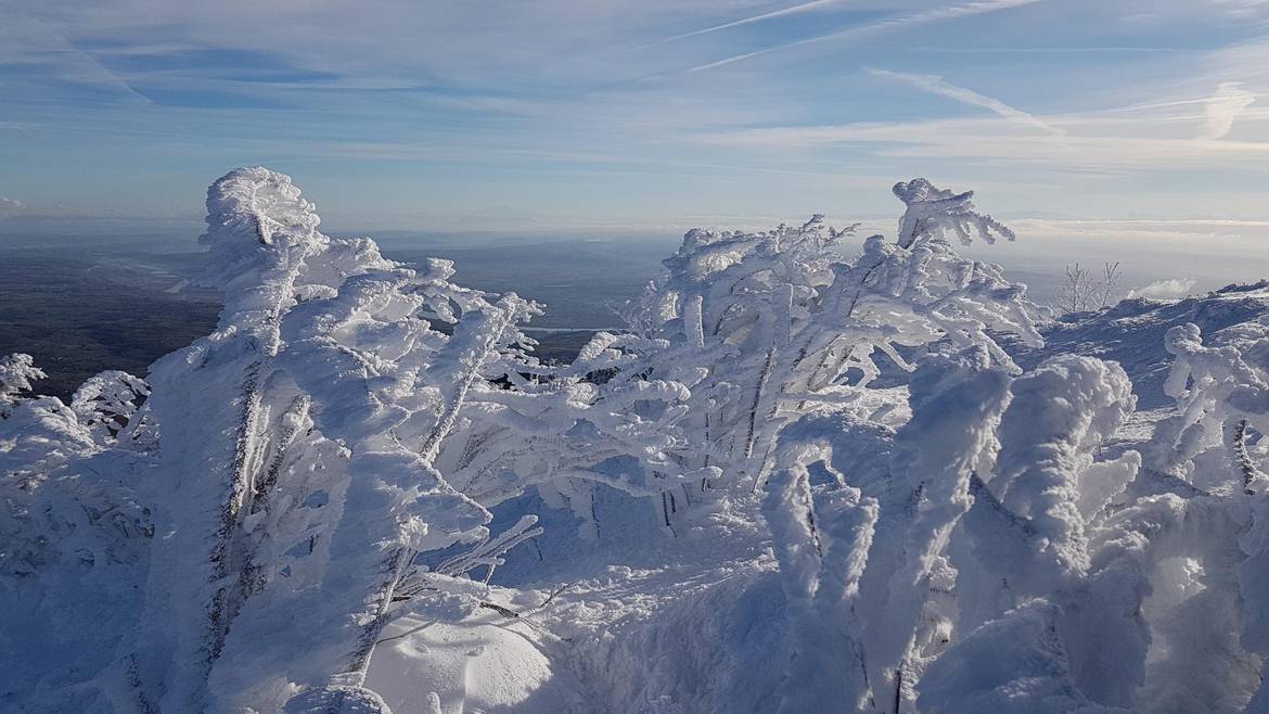 Mon week-end du 8 au 10 janvier