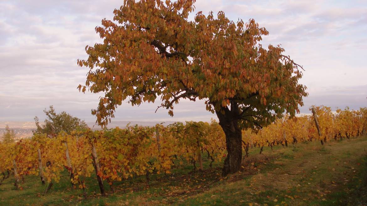 Mon week-end du 05 au 07 novembre