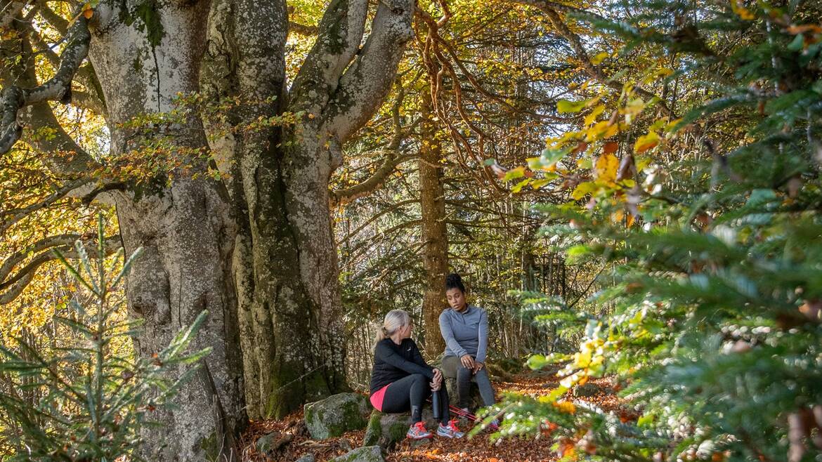 Mon week-end du 14 au 16 novembre