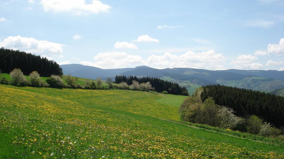 Mon week-end du 6 au 8 mai