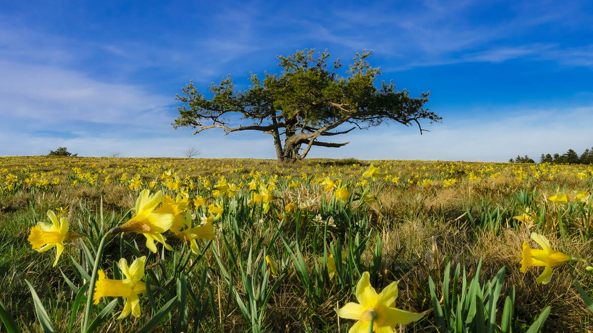 Mon week-end du 20 au 22 mars
