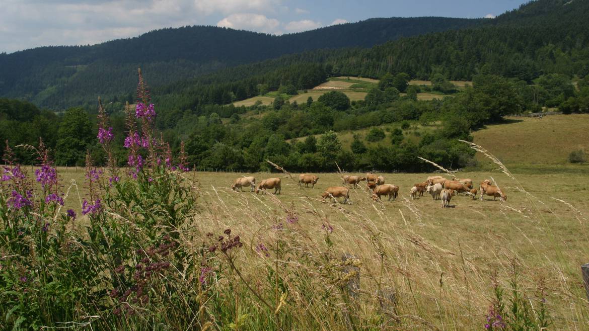 Mon week-end du 24 au 26 septembre