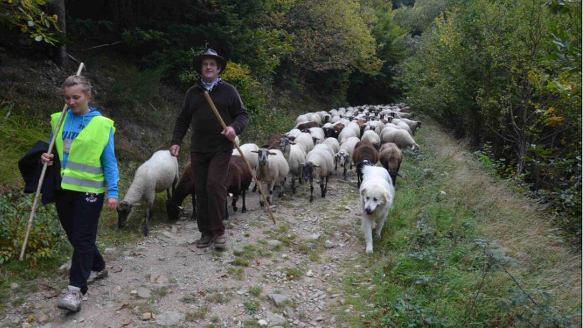 Mon week-end du 05 au 07 Octobre