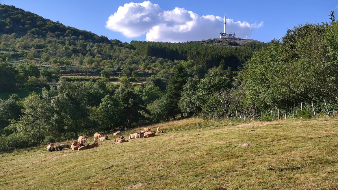 Mon week-end du 26 au 28 août