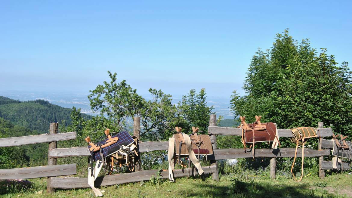 Mon week-end du 26 au 28 juillet
