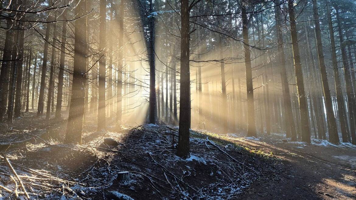 Mon week-end du 20 au 22 février