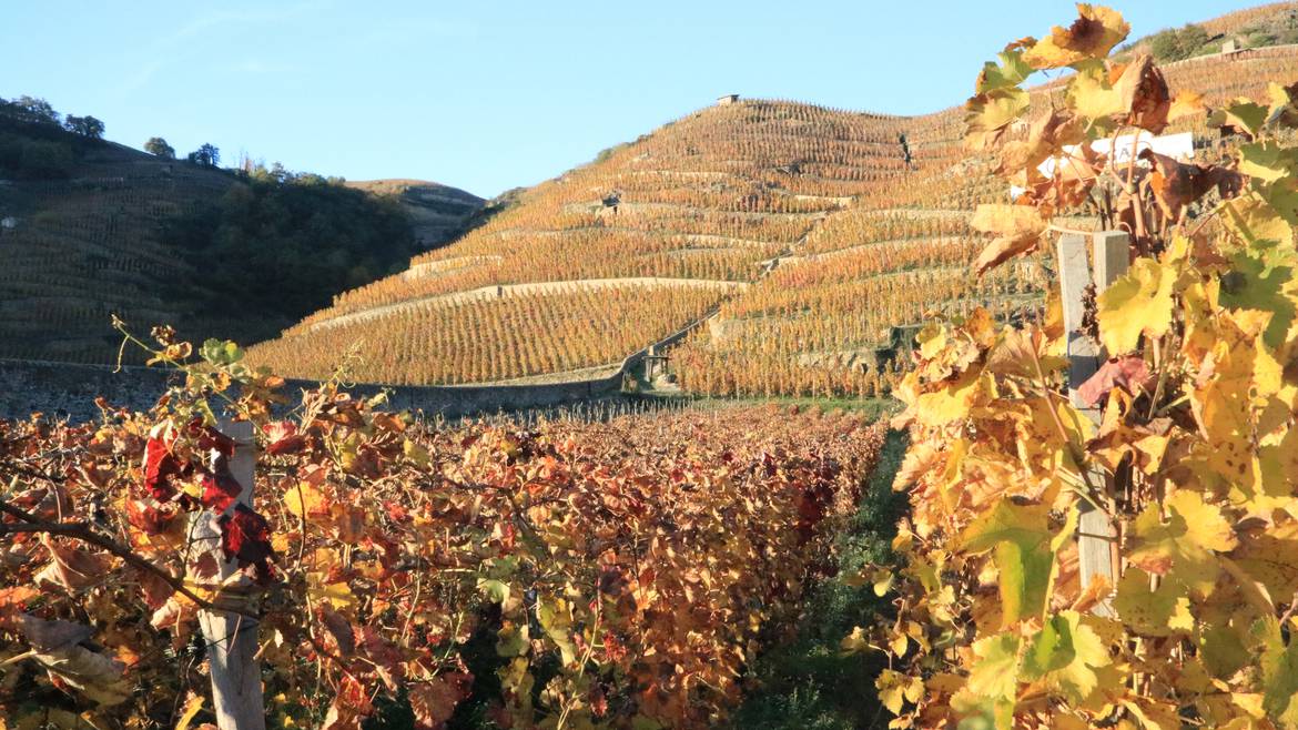 Mon week-end du 18 au 20 octobre 2019