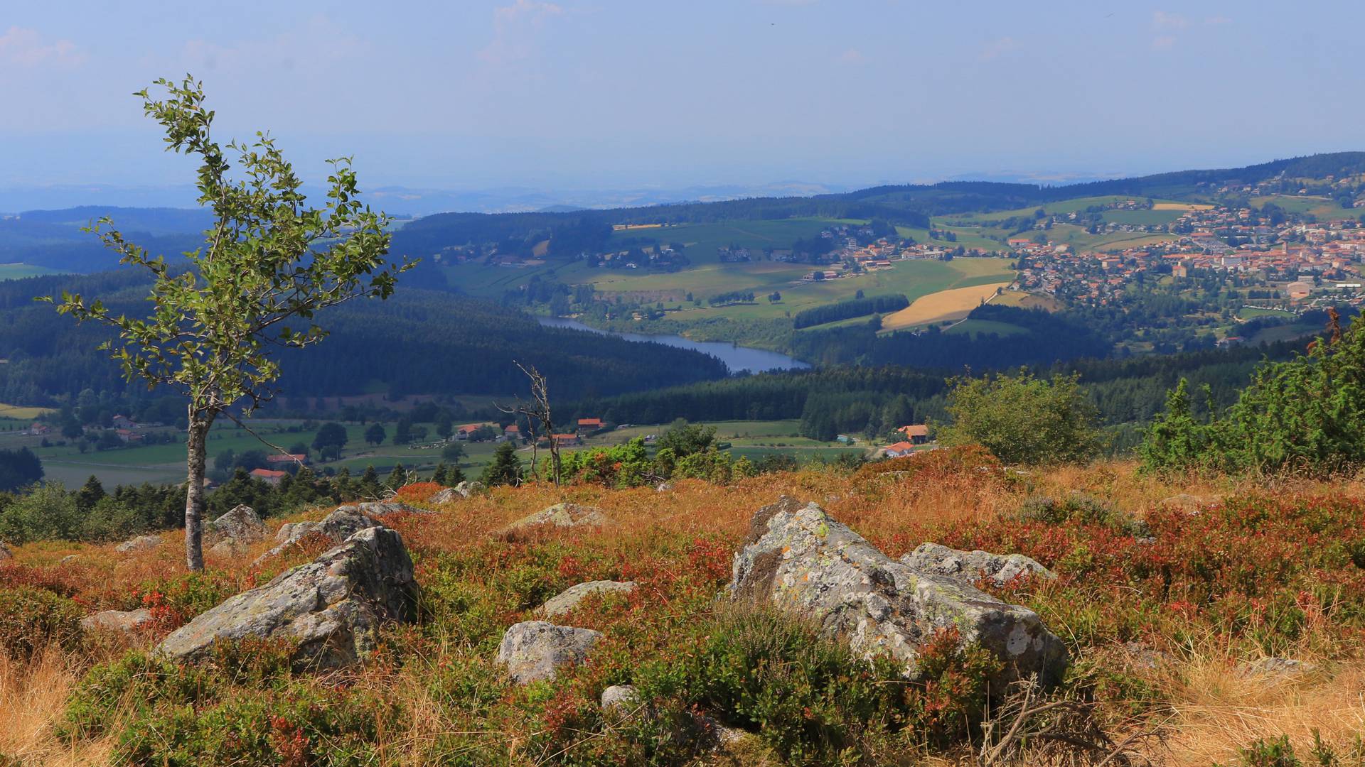 Paysage Crêt de Chaussitre