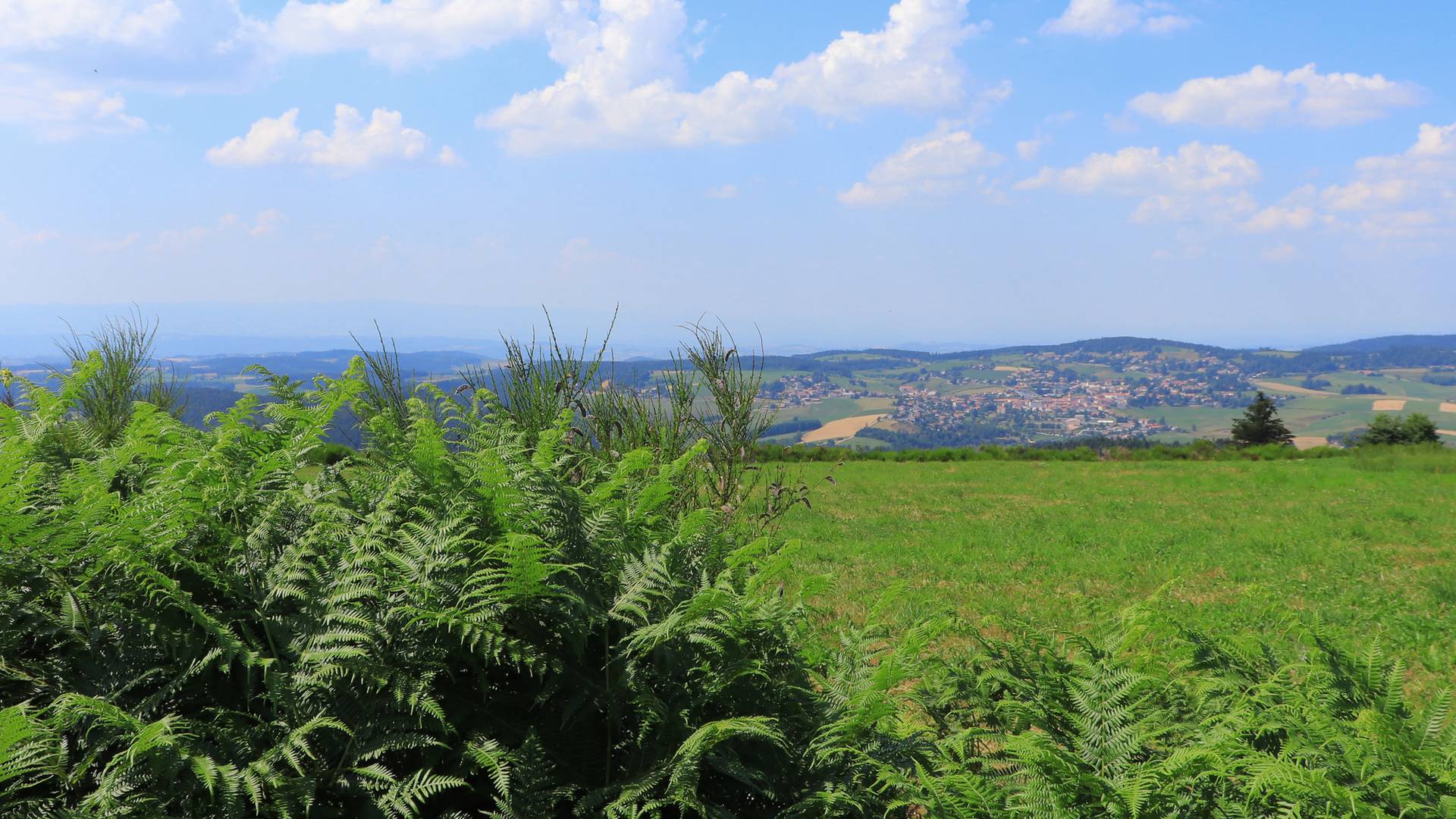 Panorama Chaussitre, Loire (42)