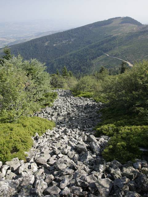 Sentier des crets du pilat