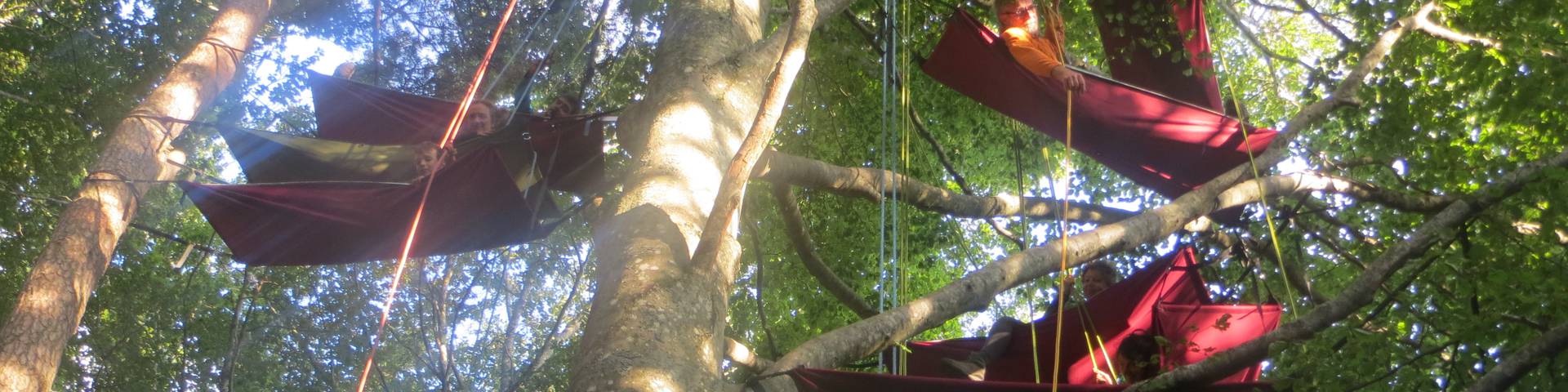 Bivouac perché