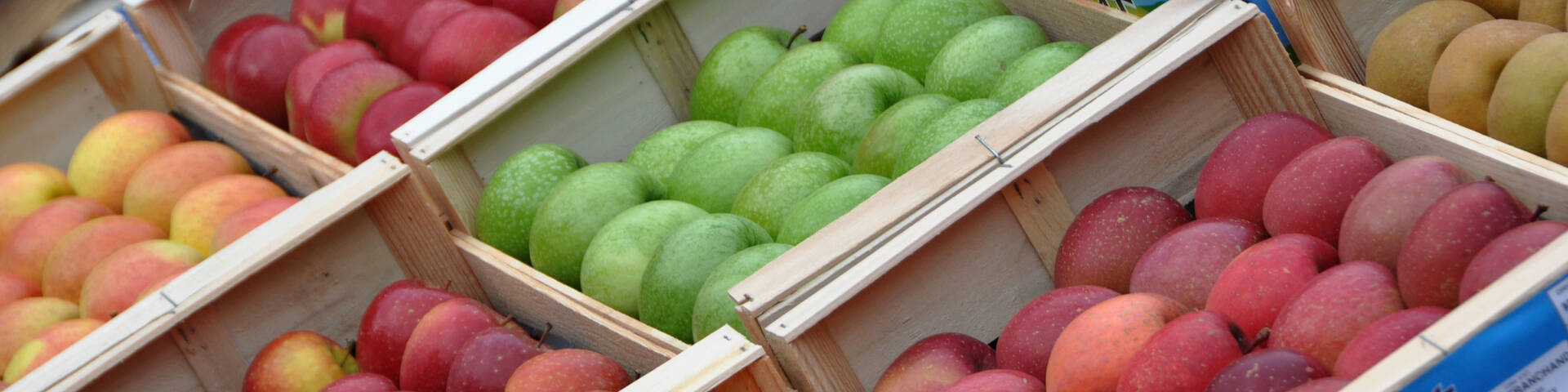 Fête de la pomme à Pélussin