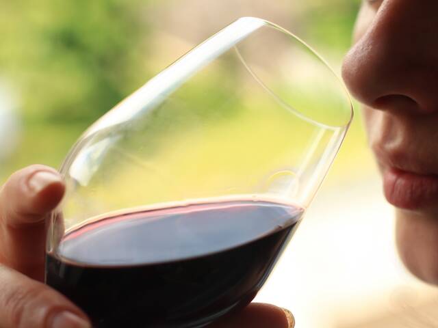Une programmation originale dans les vignobles de Condrieu et de Côte-Rôtie, de juin à Octobre