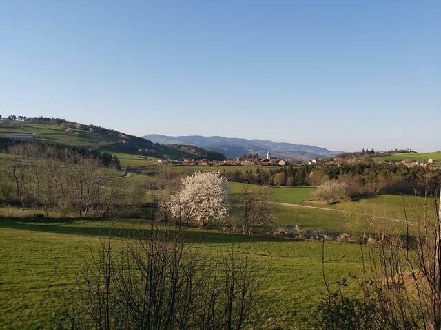 sentier forêts burdignes boucle pédestre pilat