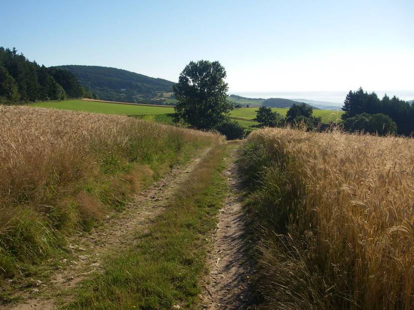 Grande randonnee massif pilat
