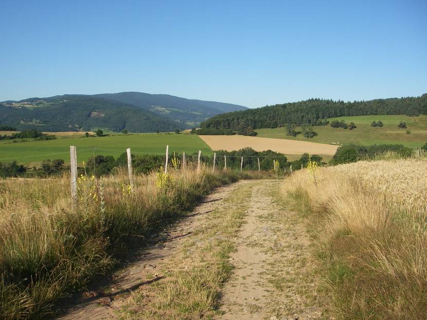 GR65 vers l'ardeche