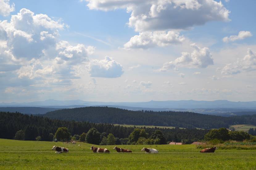 paysage hauts plateaux pilat