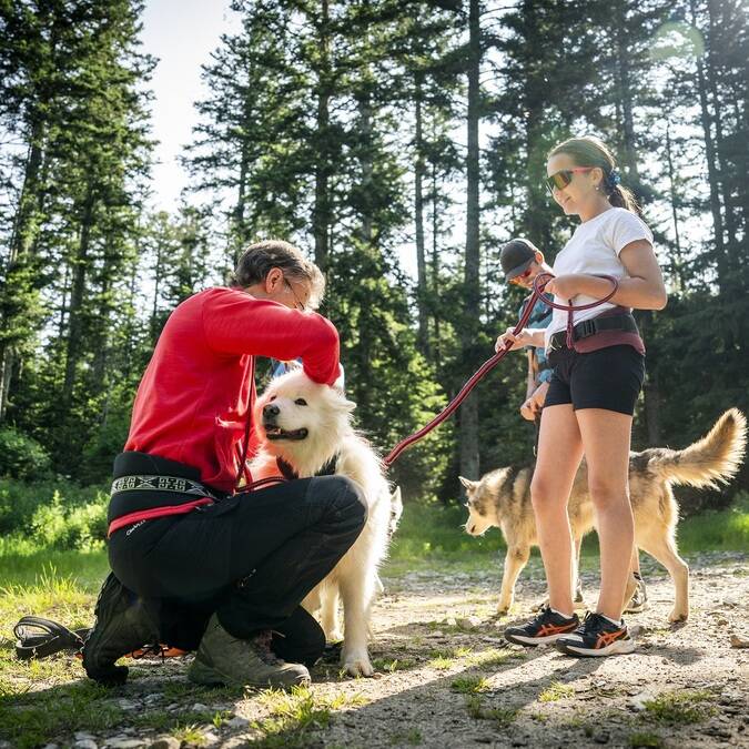 Cani-randonnée avec Kimudjuk Saint Régis du Coin dans le Parc du Pilat