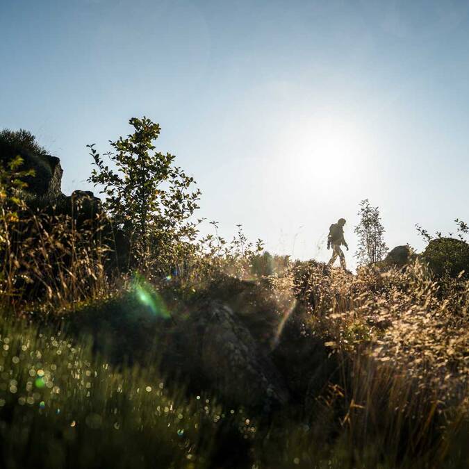 Rando sur les Crêts du Pilat