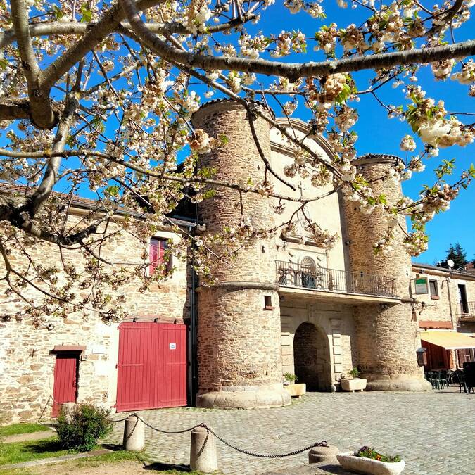 Chartreuse de Sainte-Croix-en-Jarez