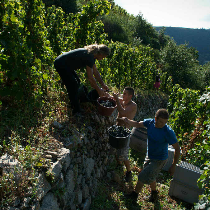 DSC_2061copie