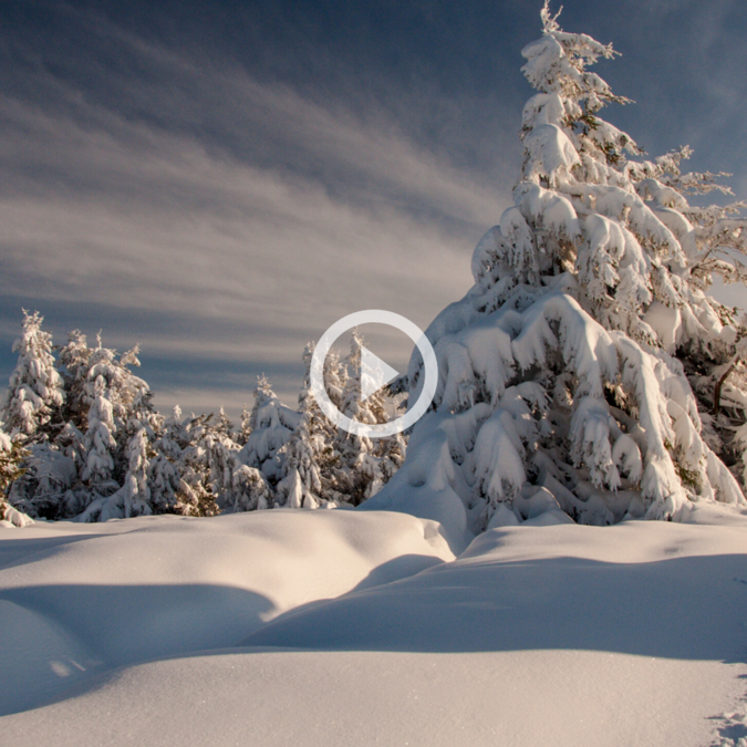 15 novembre 2019 : 1ère neige