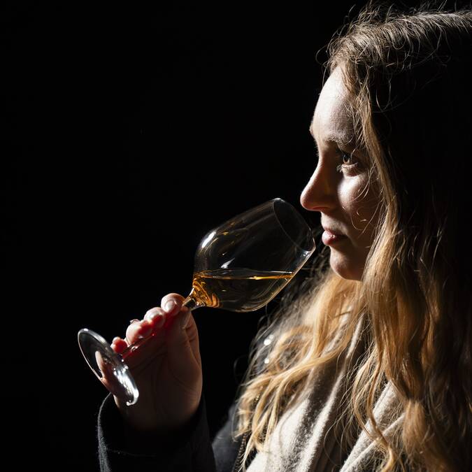 Dégustation Saint Joseph et Condrieu Malleval