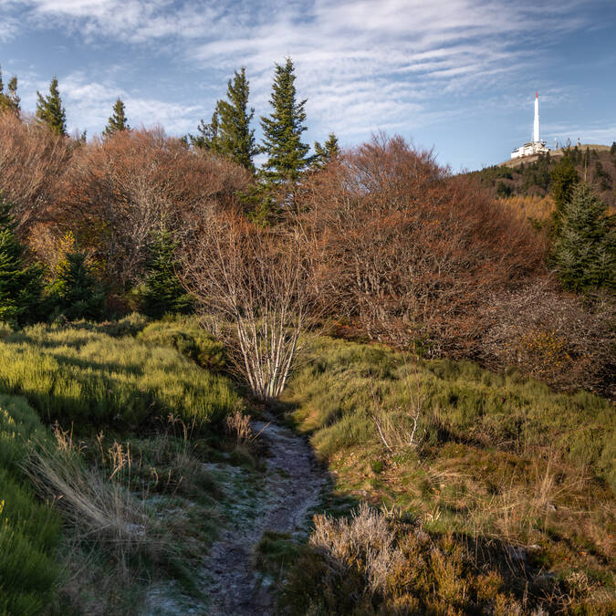 Mon week-end du 28 au 30 novembre