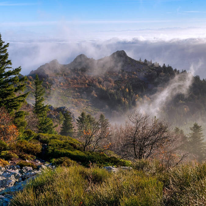 Mon week-end dans le Pilat du 15 au 17 décembre