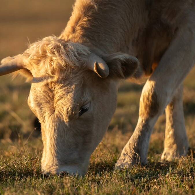 Mon week-end du 07 au 09 novembre