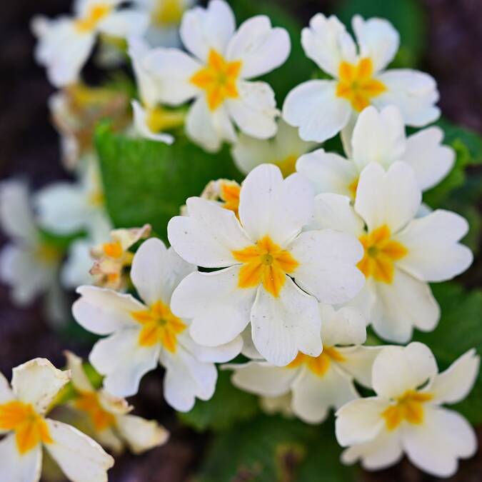 Mon week-end du 10 au 12 avril