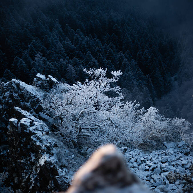 Mon week-end du 05 au 07 décembre